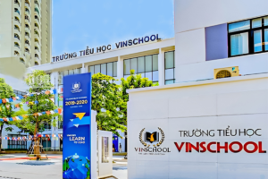 Vinschool