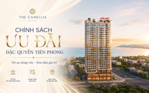 Chính sách bán hàng dự án Camellia 