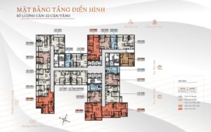 Mặt bằng tầng dự án Camellia Danang